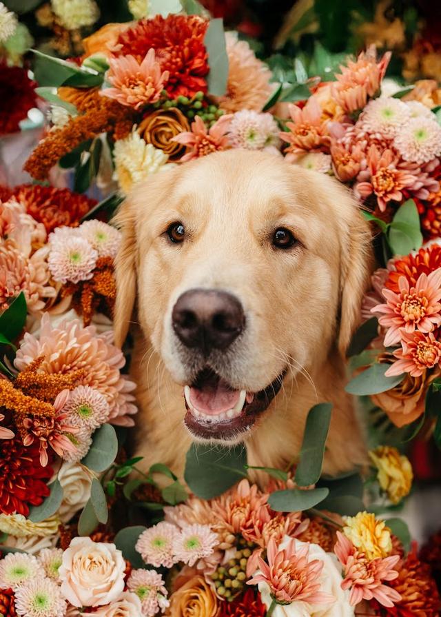 Madeline Isabella Photography - 2