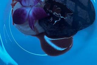Pink Shell Beach Resort & Marina - 13