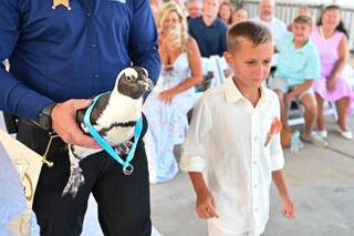 Gulfarium Marine Adventure Park - 14