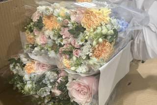 Flower Moxie - 7