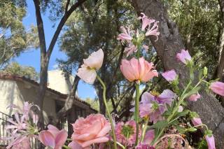 Foxglove Los Angeles - 13