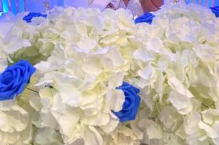 Adm  Special Occasion - 5