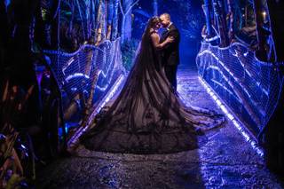 Disney Fine Art Photography & Videography - 7