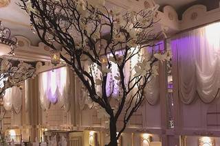 Evelisa Floral & Design - 21