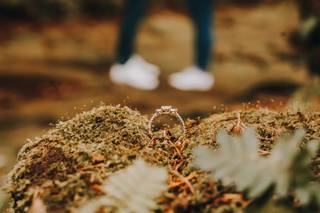 Reef Photography - 19