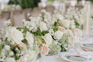 Lindsey Wise Designs - 7