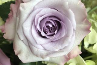 Prairie Basket Florist - 20