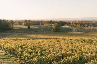 Piccione Vineyards - 6