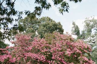 Woodlawn & Pope-Leighey House - 8