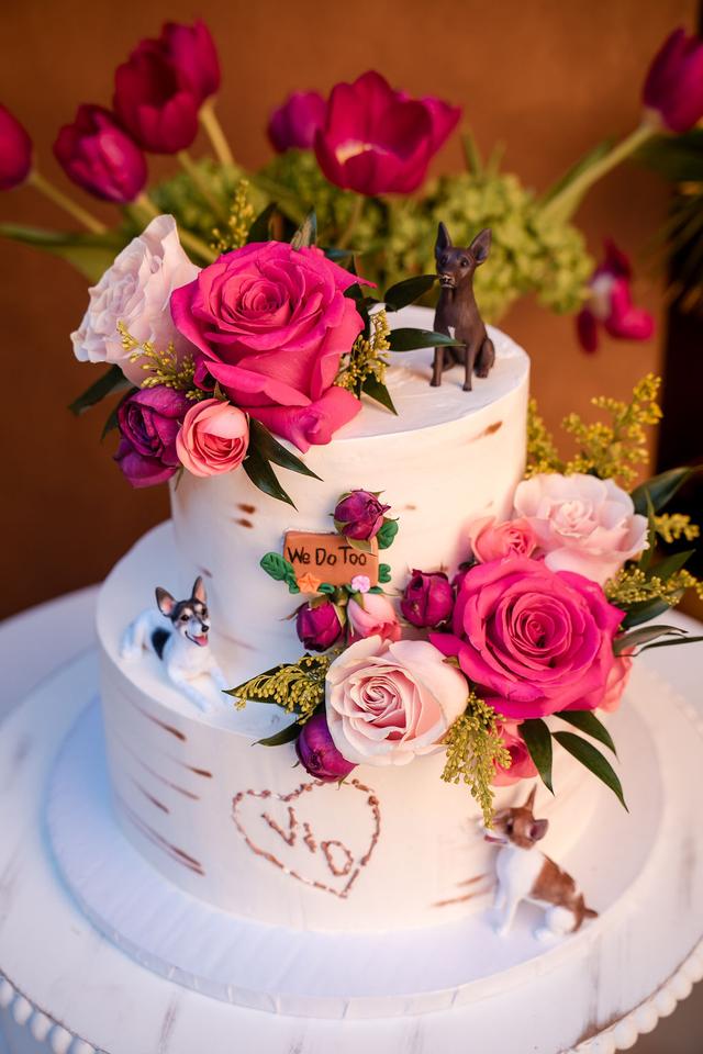 Cake Expressions - 2
