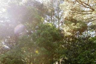 Country Villa Weddings & Events - 5