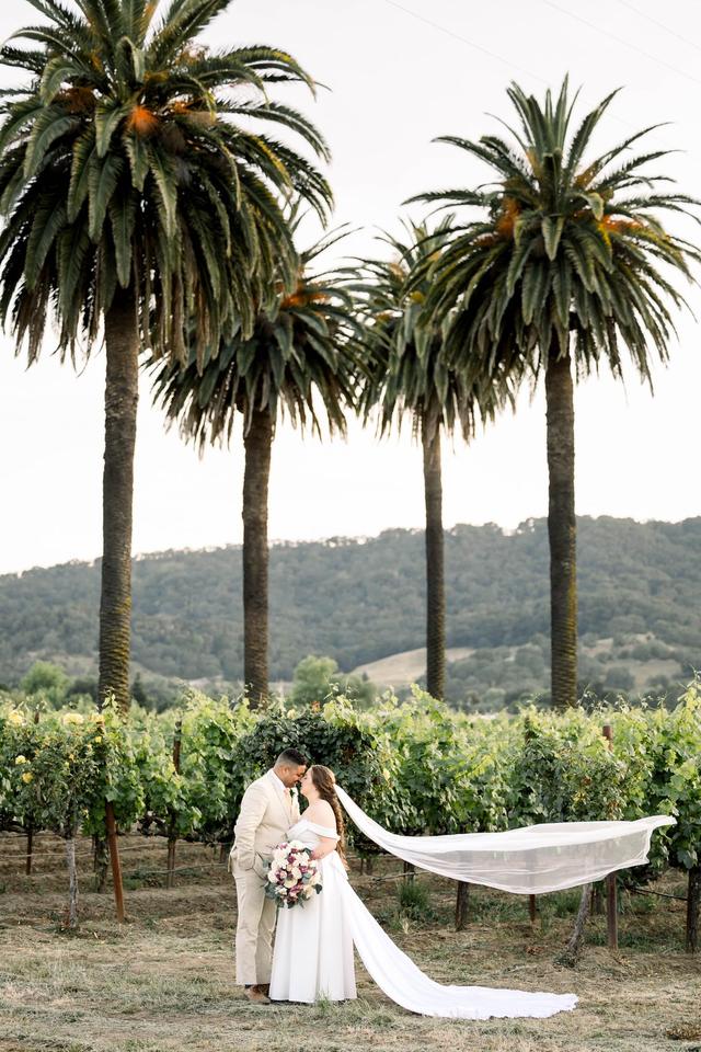 Joel Thomas Photography - 2