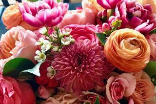 Lynne Lucente Floral Design - 5
