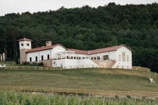 Piccione Vineyards - 5
