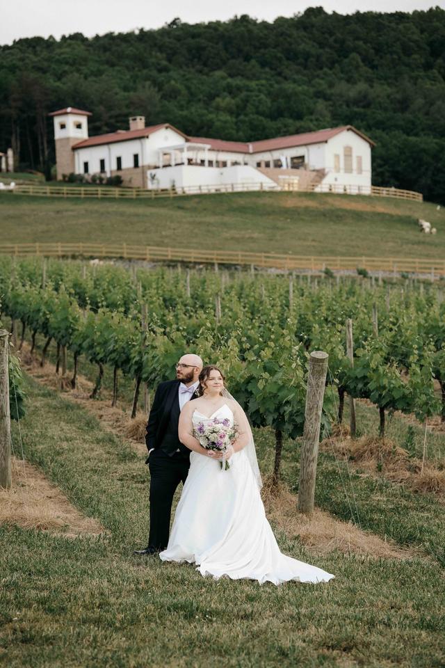 Piccione Vineyards - 2