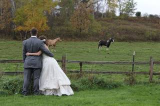 The Enchanted Barn - 20