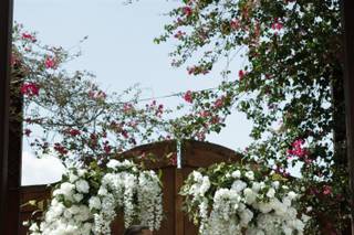 Weddings By Pastor D - 19