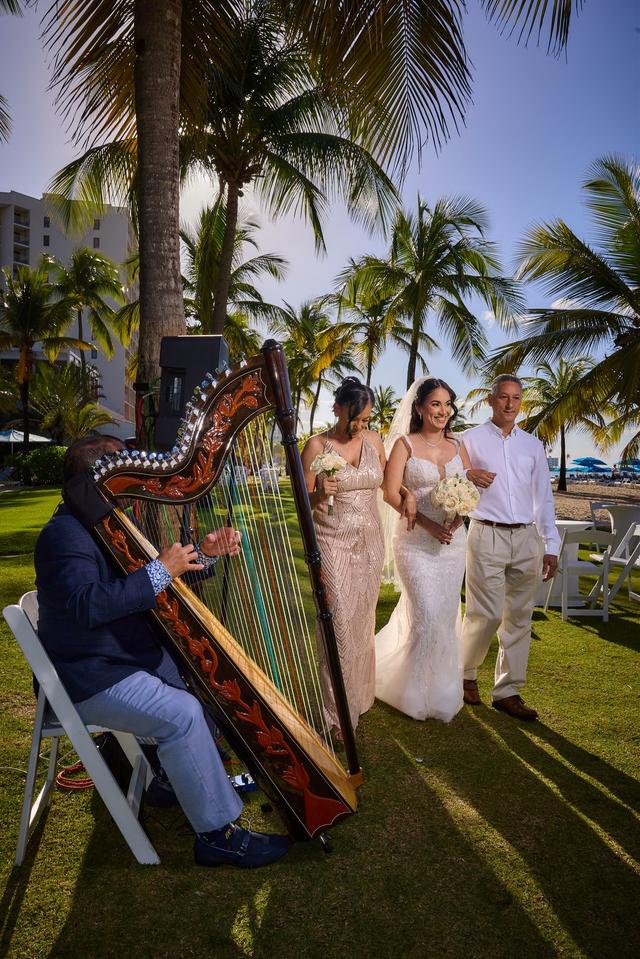 The Best Harp Serenade - 2