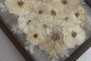 White Poppy Preservation - 38