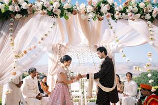 Apollo Fotografie {Photography & Videography} - 17