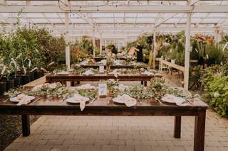Pacific Party Canopies 1