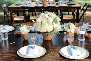 Alicia and Co. Events - 25