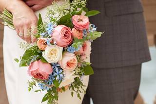 Anemone Chicago - 83