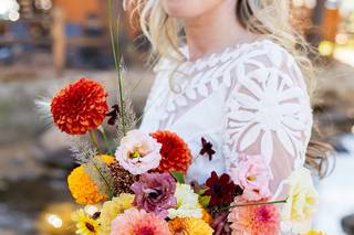 Hillary Shedd Photography - 8