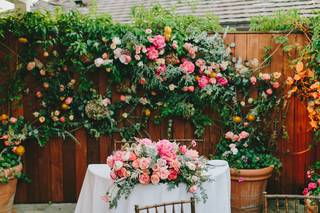 Alegria by Design - 15