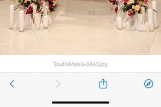 Bellisario Florist - 6