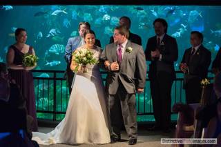 Distinctive Photo Images - 16