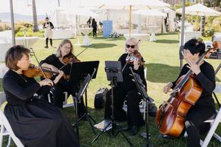 Mariposa String Quartet - 3