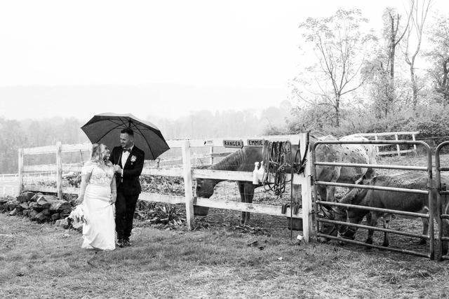 Ralph DePiro Photography - 3