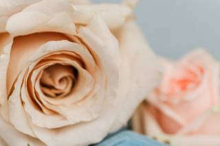 Sarah Goodwin Photography - 6