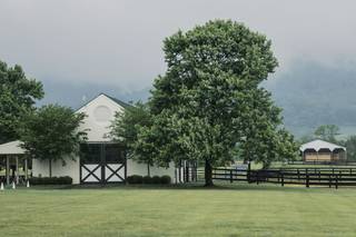 King Family Vineyards - 5