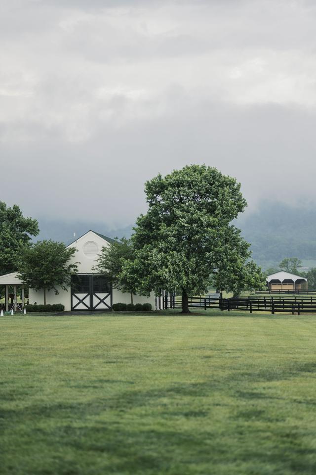 King Family Vineyards - 2