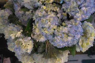 Bloomingmore - 6