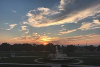 Green Grove Gardens - 9