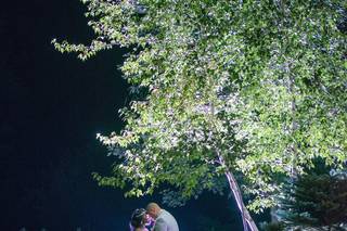 Vital Image - 5