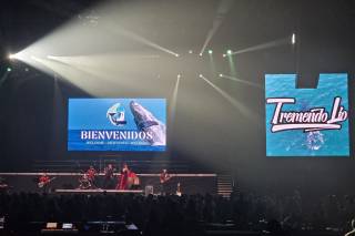 Tremendo Lío - 8