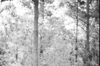 Sarah K. Photography - 45