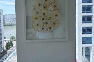 White Poppy Preservation - 9