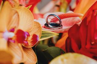 Reef Photography - 12