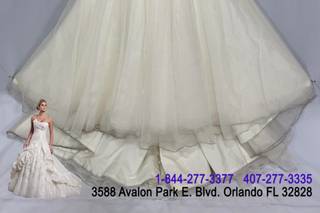 Bridal Gown Preservation - 10