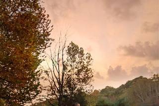 Stacy Wolf Photography - 5