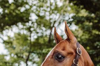 MVPhotography - 35