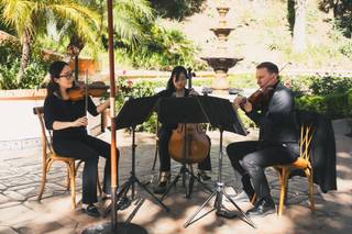OC Strings - 6