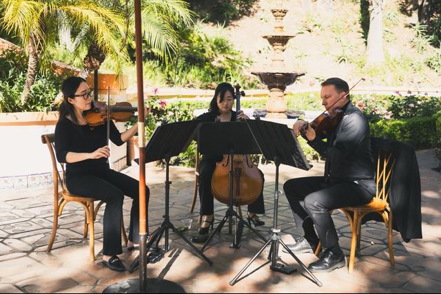OC Strings - 3
