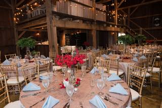 Kalero Vineyard - 16