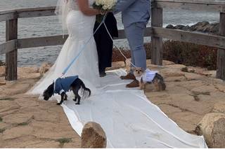 Ellen Scher Wedding Officiant - 24